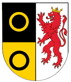 Schwörstadt Fahne / Flagge