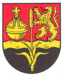 Steinwenden Fahne / Flagge