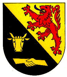 Veitsrodt Fahne / Flagge