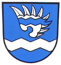 Wehingen Fahne / Flagge