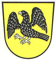 Laer Fahne / Flagge