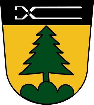 Altenthann Fahne / Flagge