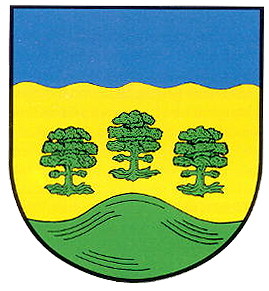 Wesseln Fahne / Flagge