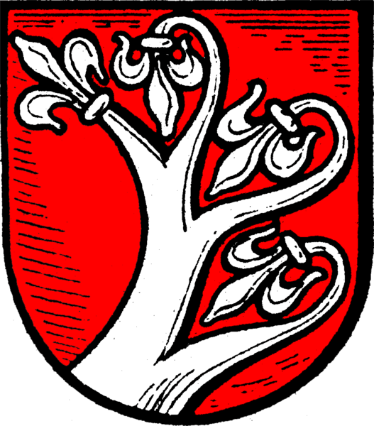 Söhrewald Fahne / Flagge