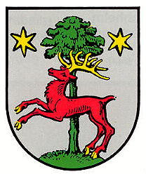 Oberwiesen Fahne / Flagge