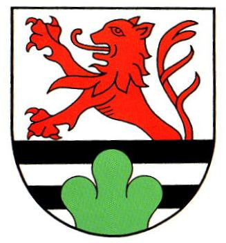 Molbergen Fahne / Flagge