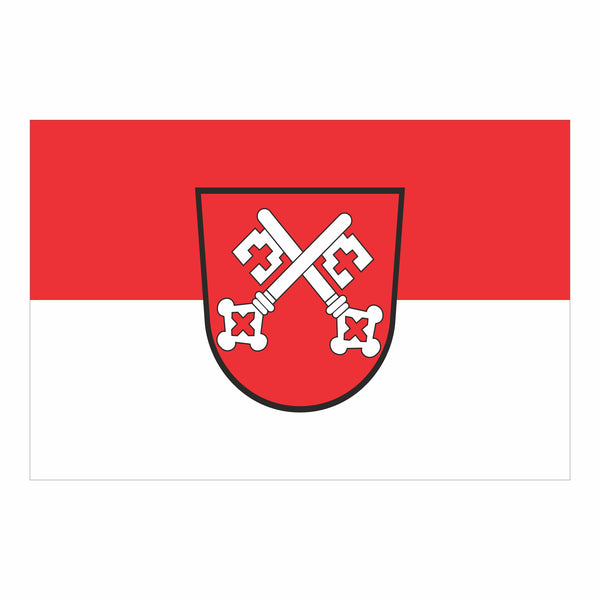 Regensburg Fahne / Flagge