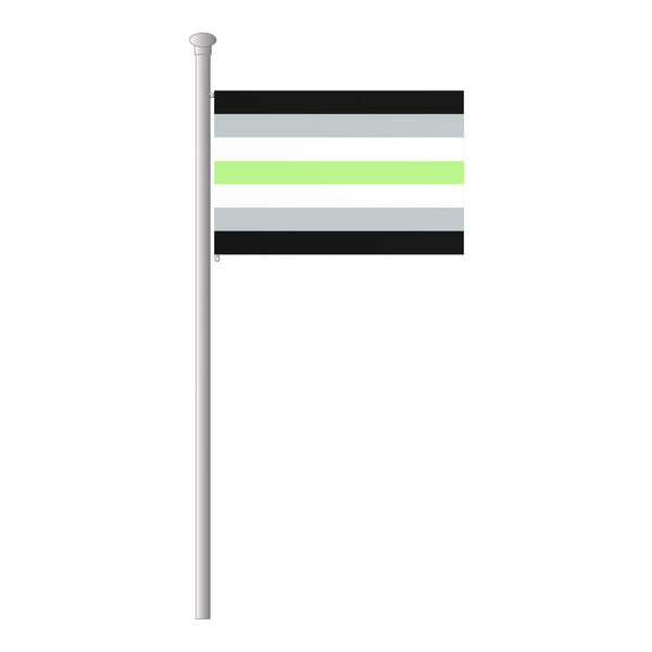 Agender Hissflagge im Querformat