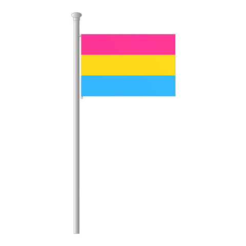 Pansexuell Hissflagge im Querformat