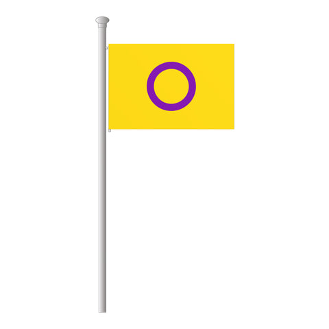 Intersexuell Hissflagge im Querformat